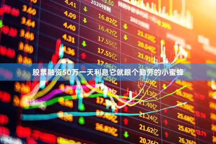 股票融资50万一天利息它就跟个勤劳的小蜜蜂
